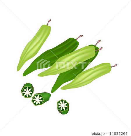 Fresh Okra or Lady Finger on White Background 14832265
