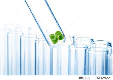Small plant in test tube Small plant in test tube 14832922