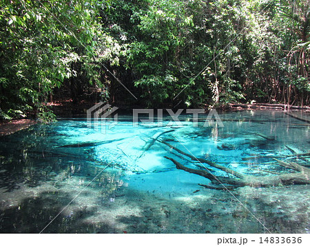 タイのクラビにある神秘的な絶景「ブループール」 14833636