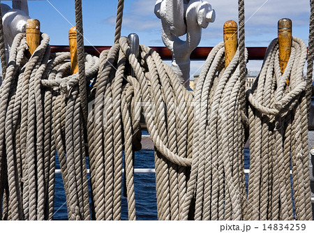 Rigging Rigging 14834259