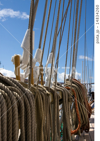 Rigging 14834260