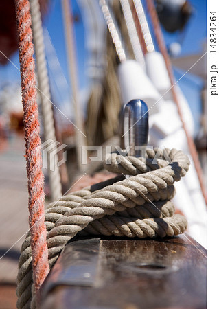 Rigging 14834264