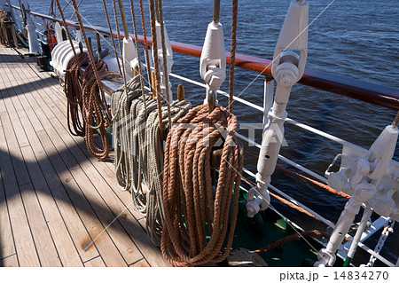 Rigging 14834270