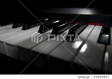 Piano keyboard Piano keyboard 14834847