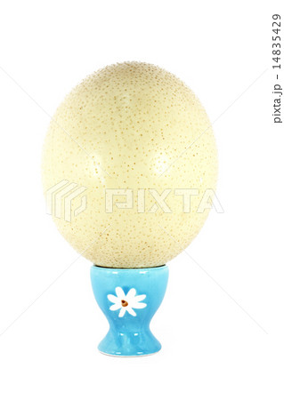 An egg for breakfast 14835429