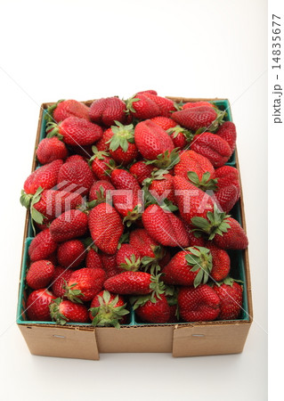 イチゴ 14835677