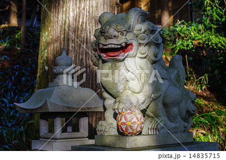 須山浅間神社の狛犬 須山浅間神社の狛犬 14835715