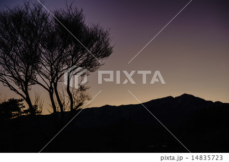木と山と空 木と山と空 14835723