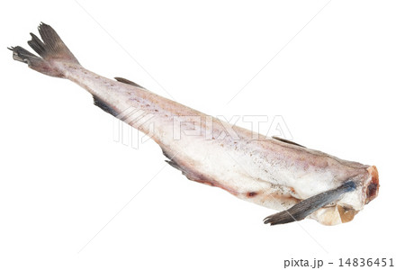 Raw pollack 14836451