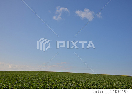 丘の風景 14836592