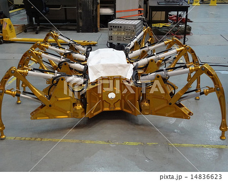 スパイダー 14836623