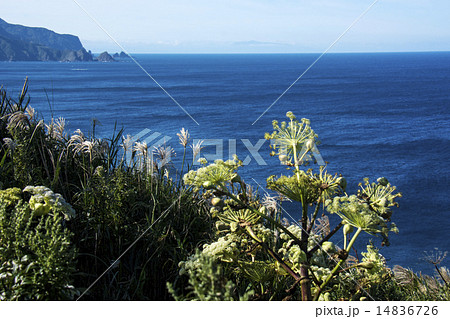 神威岬 神威岬 14836726