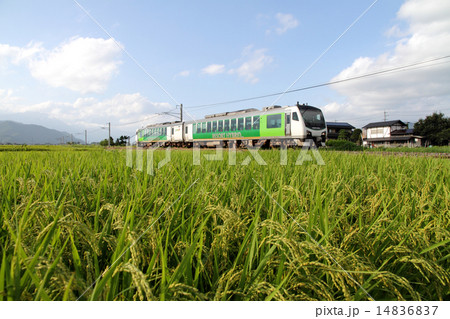 大糸線・夏の終わり 14836837