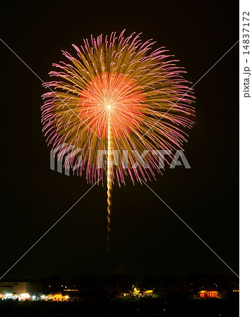 土浦花火 14837172