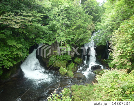 竜頭の滝 竜頭の滝 14837234