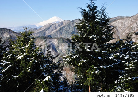 冬の丹沢より富士山 14837295
