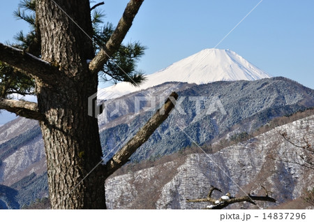 冬の丹沢より富士山 14837296