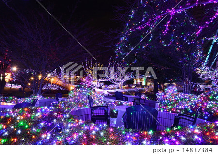 よみうりランドジュエルイルミネーション 14837384