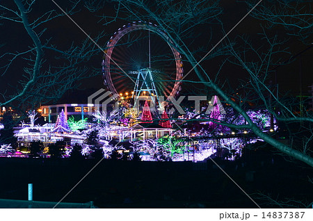よみうりランドジュエルイルミネーション 14837387