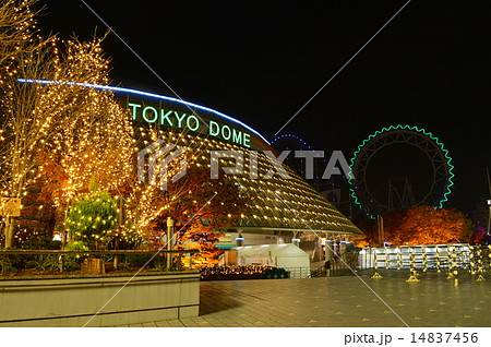 東京ドームイルミネーション 東京ドームイルミネーション 14837456