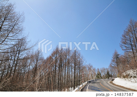 万座ハイウエーとカラマツ林 万座ハイウエーとカラマツ林 14837587