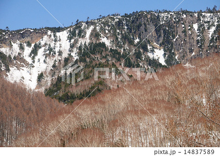 万座ハイウエーから見た白樺の森と本白根山の稜線 14837589