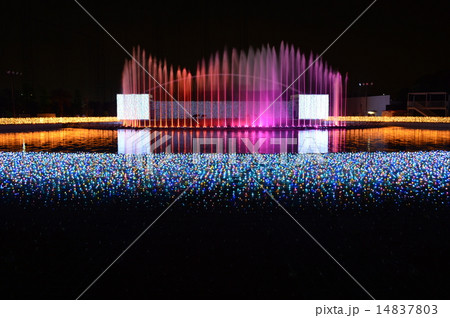 よみうりランドジュエルイルミネーション 14837803