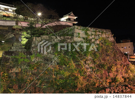 臼杵城夜景 臼杵城夜景 14837844