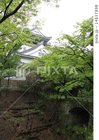 岡崎城と堀 14837898