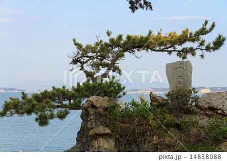 森戸海岸の冬 森戸海岸の冬 14838088