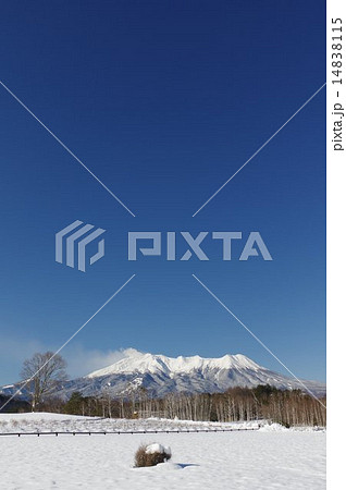 冬の御嶽山　開田村木曽馬の里より 14838115