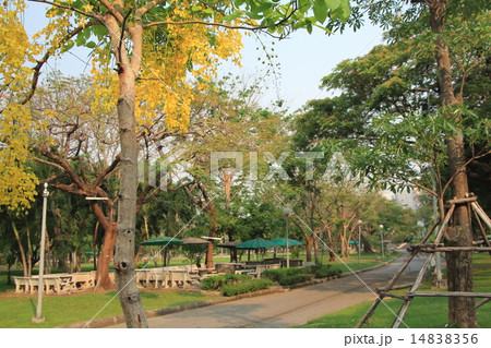 ルンピニ公園 14838356