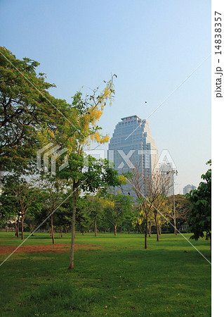 ルンピニ公園 14838357