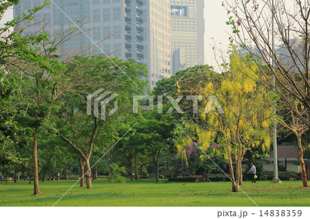 ルンピニ公園 14838359