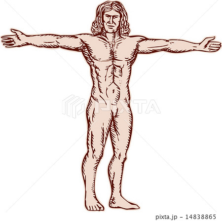 Vitruvian Man Arms Spread Front Etching 14838865