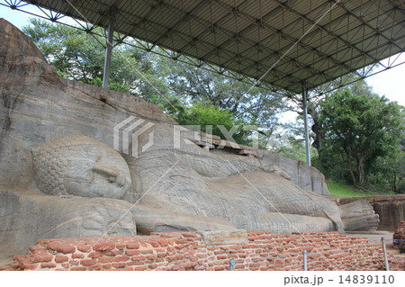 ポロンナルワの仏像 14839110