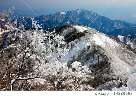 雪の丹沢・塔ノ岳から見る表尾根と大山 14839667