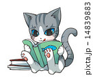 学習する猫 14839883