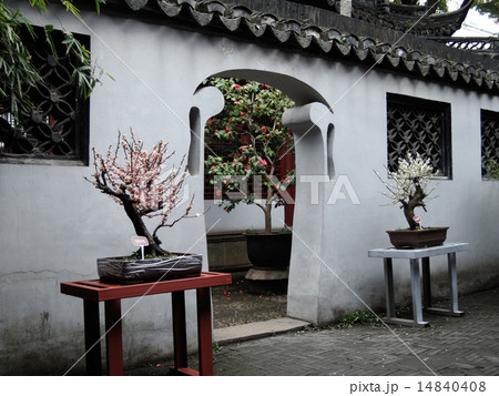 中国　上海市　豫園(よえん) 14840408
