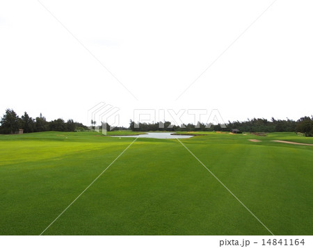 タートルベイ　アーノルドパーマーコース 14841164