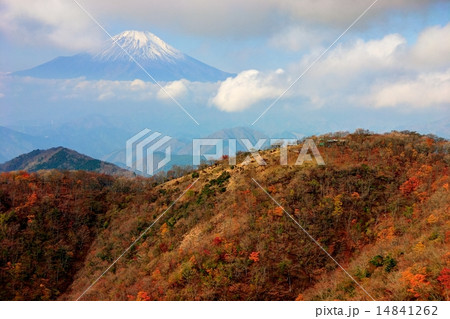 紅葉の丹沢 鍋割山と富士山の写真素材