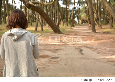 林を歩く女性 林を歩く女性 14841727