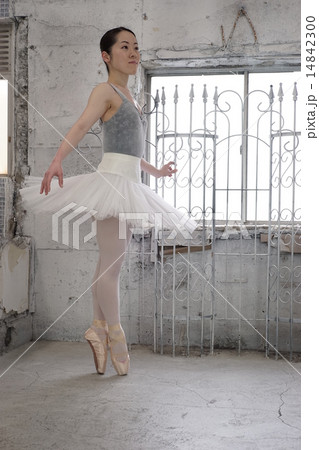 バレエ 14842300