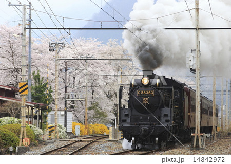 春の秩父鉄道SL 14842972