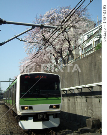 山手線　E231系　外回り　巣鴨駅 14843295