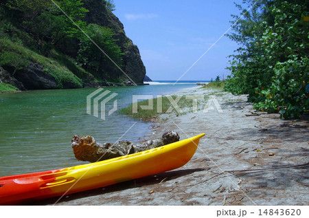 八瀬川(小港海岸の風景(父島)) 八瀬川(小港海岸の風景(父島)) 14843620
