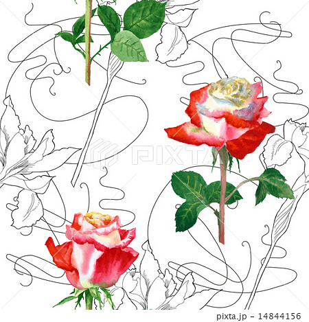 Seamless Pattern with Rose-02 14844156