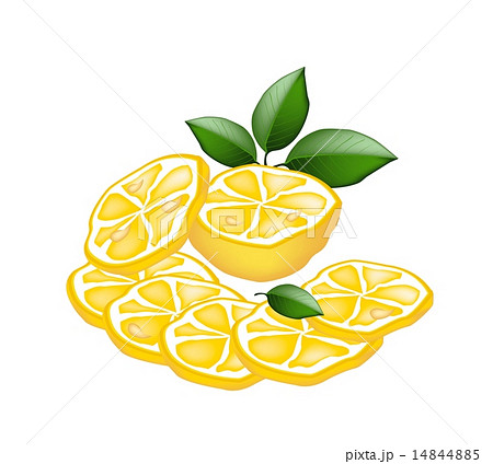 Half and Sliced of Lemon on White Background 14844885