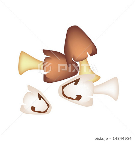 A Stack of Straw Mushrooms on White Background 14844954