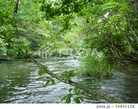 夏の川釣り 14845138
